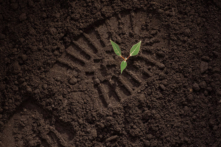 “Carbon footprint has become the main topic”